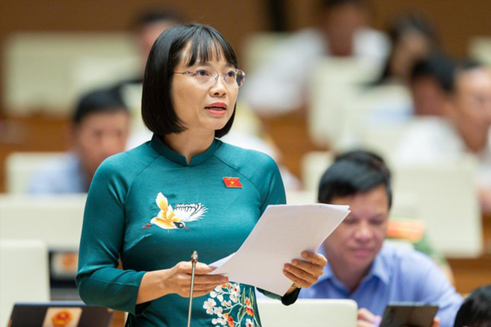Đại biểu Quốc hội tỉnh Hải Dương chất vấn Bộ trưởng Ngoại giao